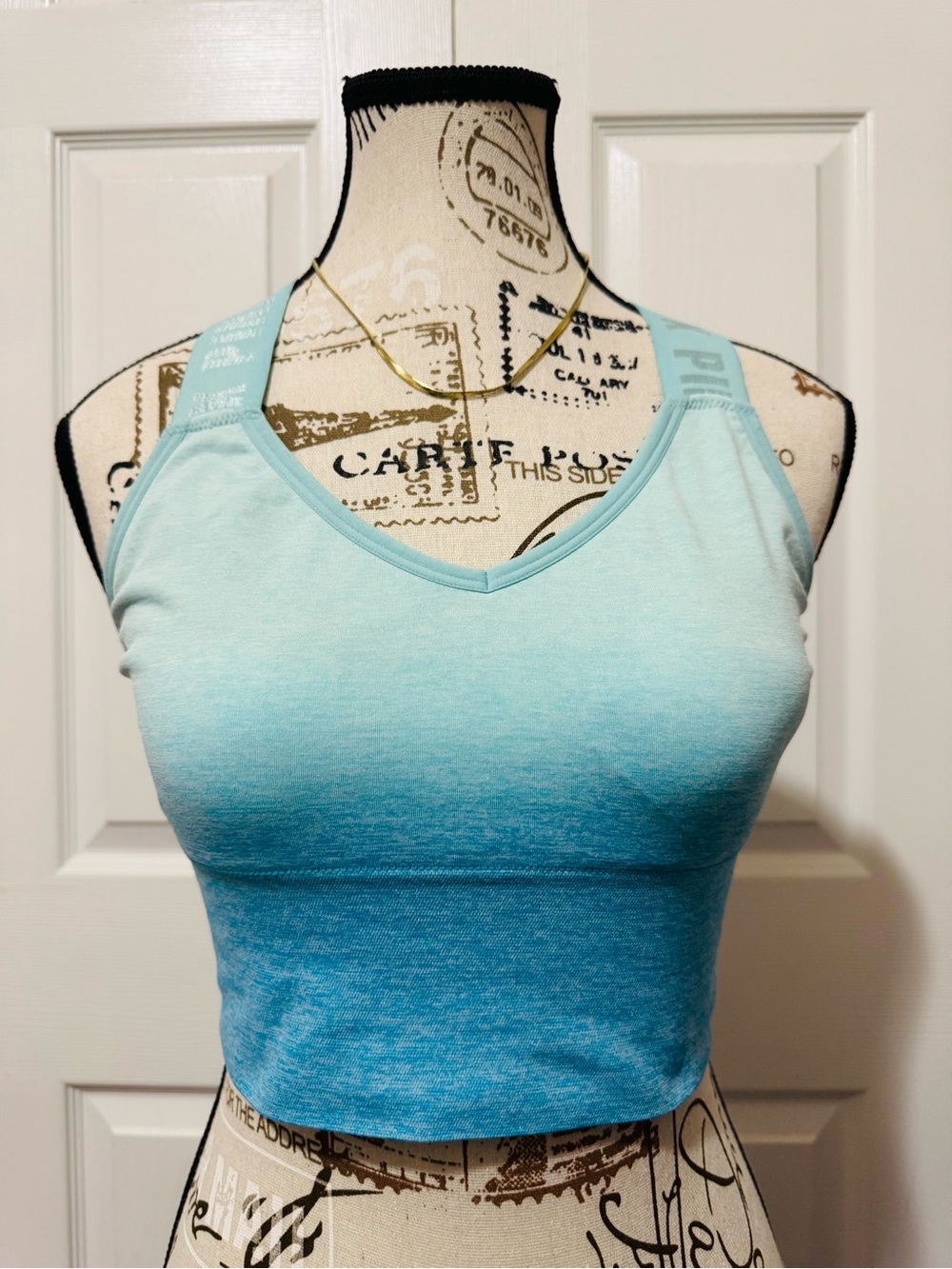 PINK Sport 2-Piece Sports Bra Bundle Size Medium
Blue & Pink